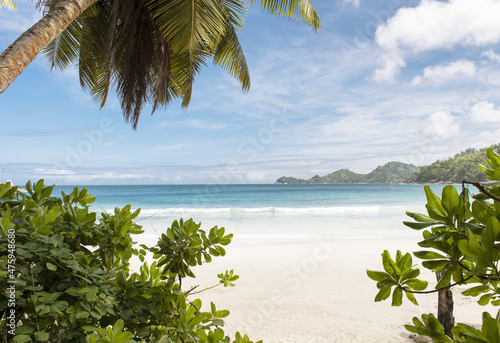 Beautiful shot of Waialea Beach in Puako, USA photo