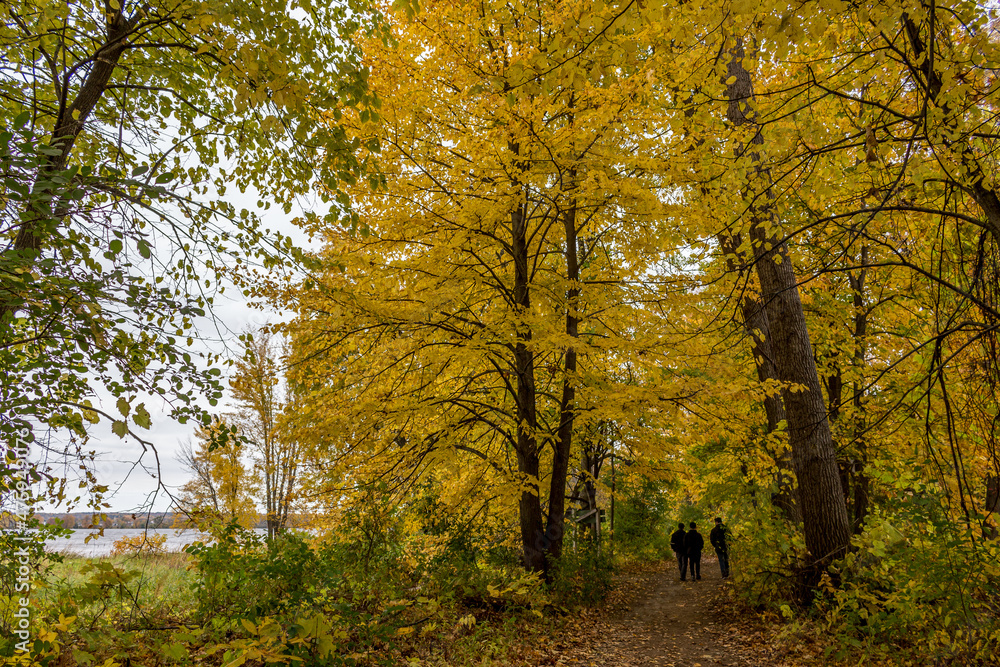 Fototapeta premium Colorful beautiful Autumn landscaping Ottawa Ontario Canada