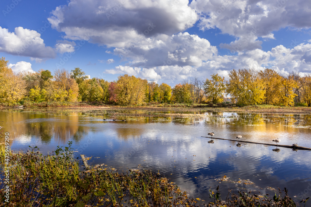 Colourful beautiful Autumn landscaping on the lake