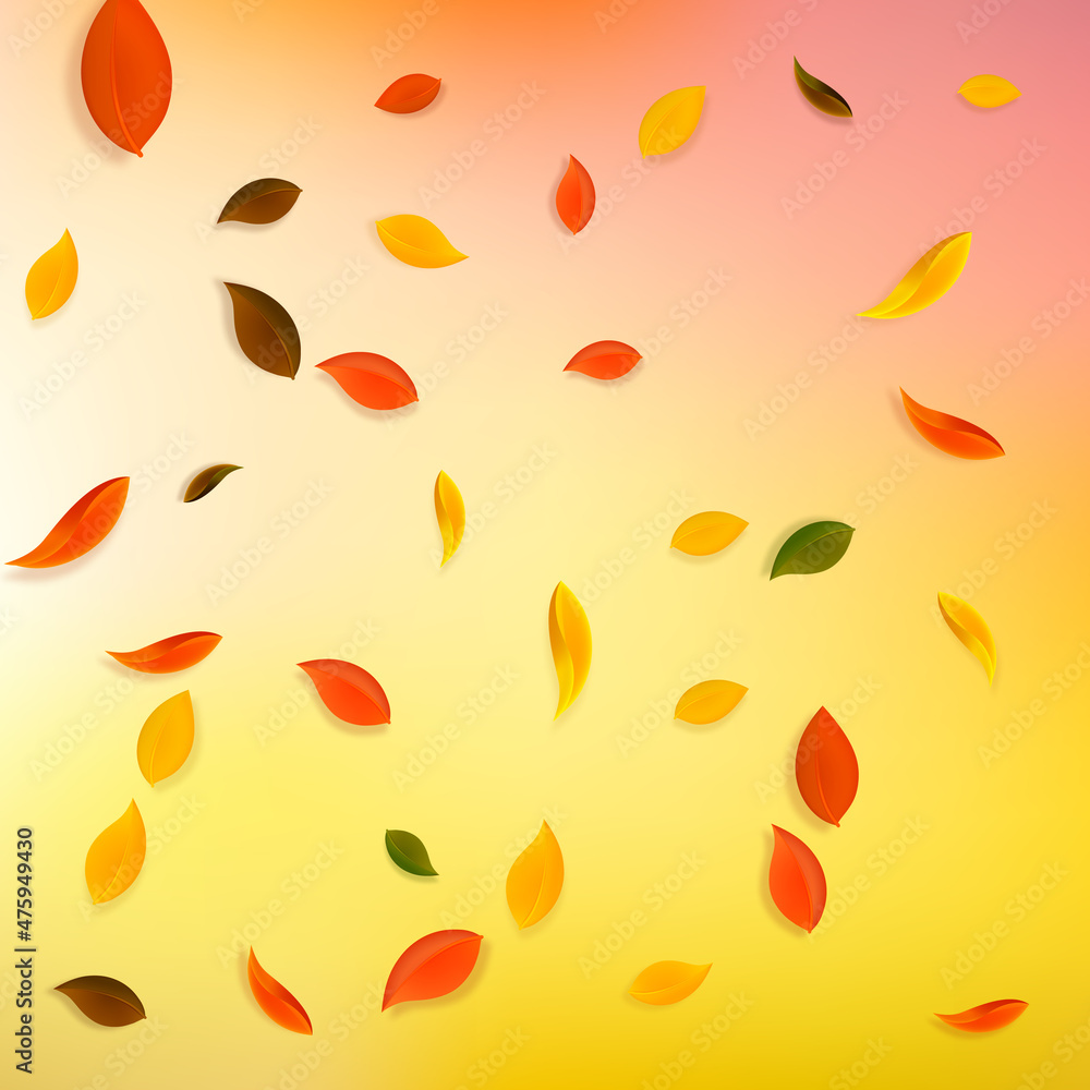 Falling autumn leaves. Red, yellow, green, brown c Falling autumn leaves. Red, yellow, green, brown c