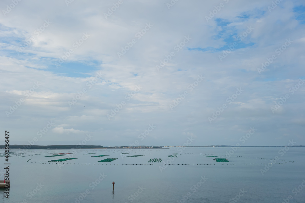 Obraz premium Many oyster farm on the sea