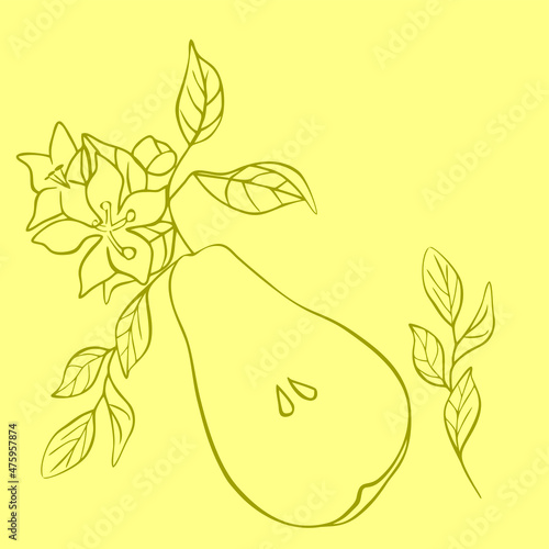 Drawing of a pear on a yellow background, vector illustration of a flowering plant, pear fruit for decoration, contour drawing of a fruit, sketch waiting for a label