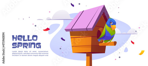 Hello spring banner with parrot in birdhouse. Vector landing page with cartoon illustration of beautiful colorful parrot and wooden bird house on background of sky with clouds