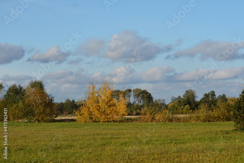 Plakat w ramie jesień
