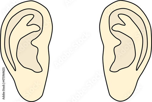 左右の耳のイラスト素材