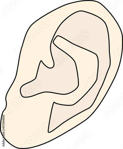 シンプルな大人の耳のイラスト