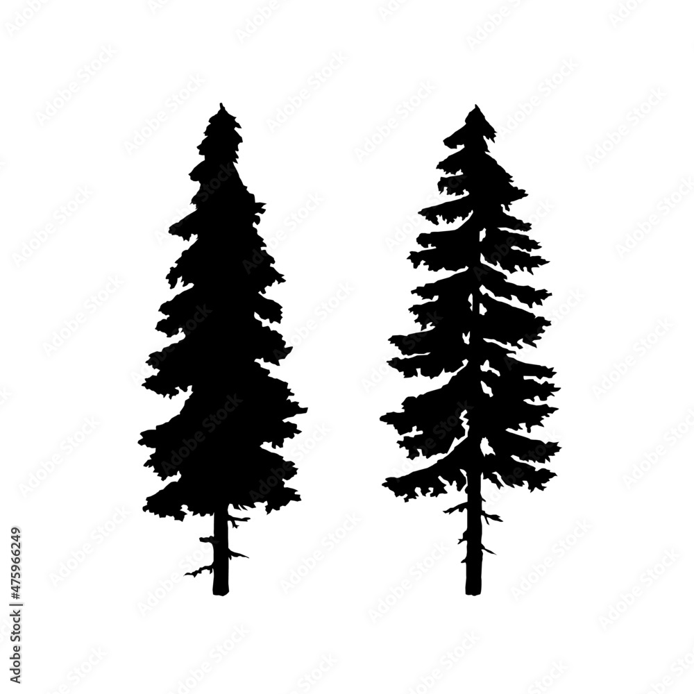 Obraz premium two pine trees