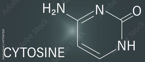 Cytosine pyrimidine nucleobase component. One of the bases found in DNA and RNA. Skeletal formula.