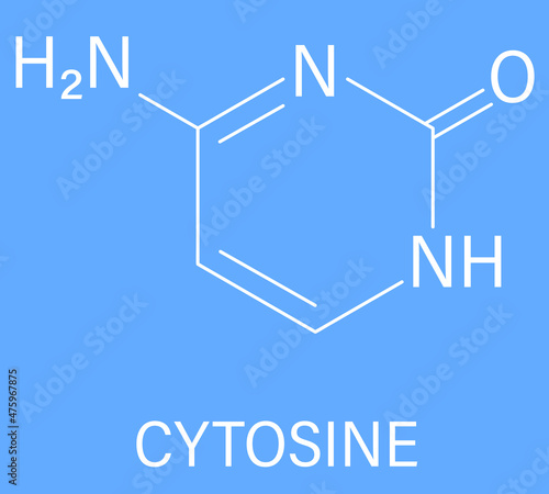 Cytosine pyrimidine nucleobase component. One of the bases found in DNA and RNA. Skeletal formula.