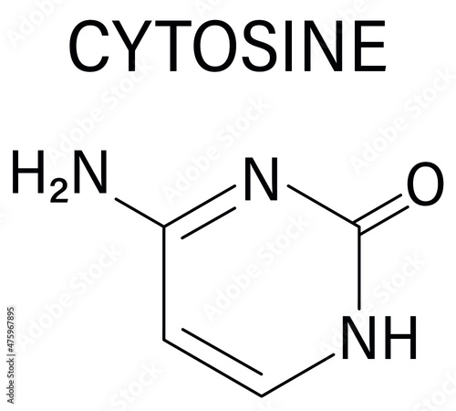 Cytosine pyrimidine nucleobase component. One of the bases found in DNA and RNA. Skeletal formula.