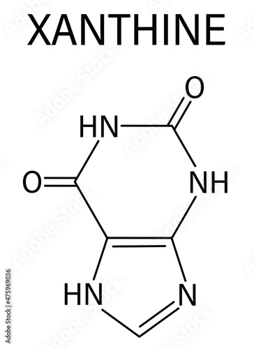 Xanthine purine base molecule. Skeletal formula.