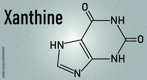 Xanthine purine base molecule. Skeletal formula. photo