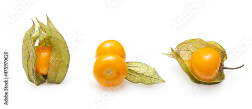 Photos Phisalis isolated in white background