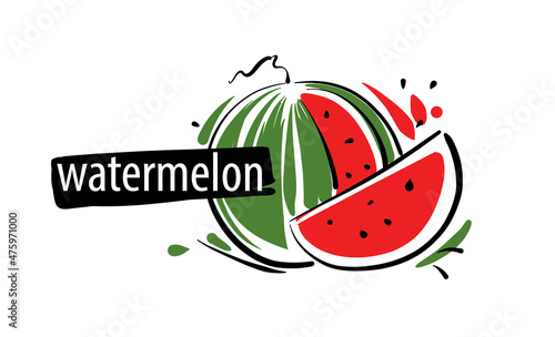 Drawn vector watermelon on a white background