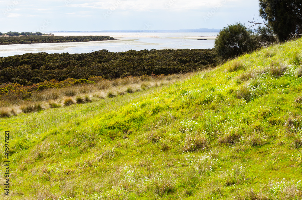 Rhyll Inlet State Wildlife Reserve is a wetland reserve with walking paths, a boardwalk, mangroves, birds and ocean views - Phillip Island, Victoria, Australia Rhyll Inlet State Wildlife Reserve is a wetland reserve with walking paths, a boardwalk, mangroves, birds and ocean views - Phillip Island, Victoria, Australia