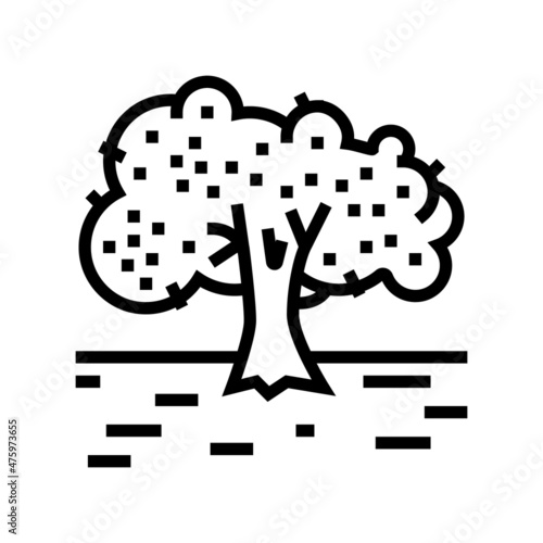 cultivation olive tree line icon vector. cultivation olive tree sign. isolated contour symbol black illustration