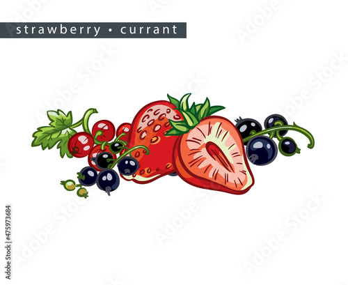 sketch_strawberry_currant_whole_berry_half_and_three_branches