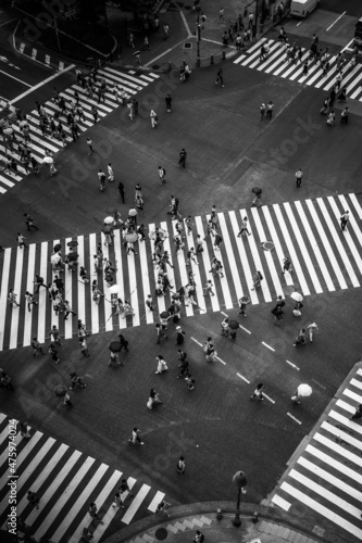 black and white background shibuya crossing photo