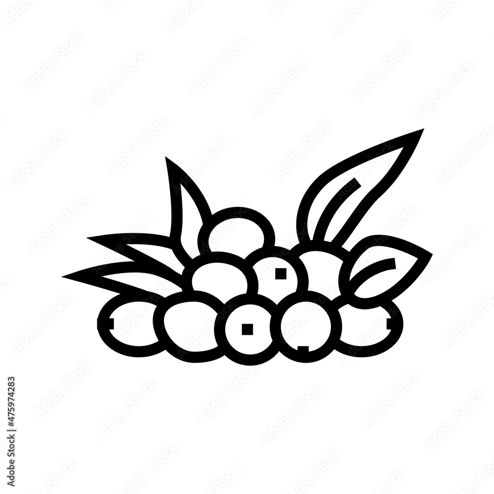 olive natural berries line icon vector. olive natural berries sign. isolated contour symbol black illustration