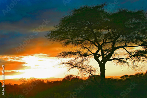 Paysage lever et coucher de soleil en brousse Afrique  Kenya