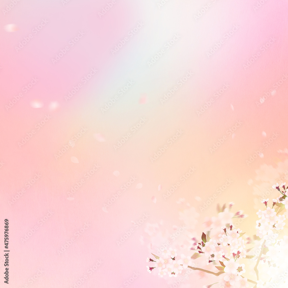 Pastel color background material using cherry blossoms Pastel color background material using cherry blossoms
