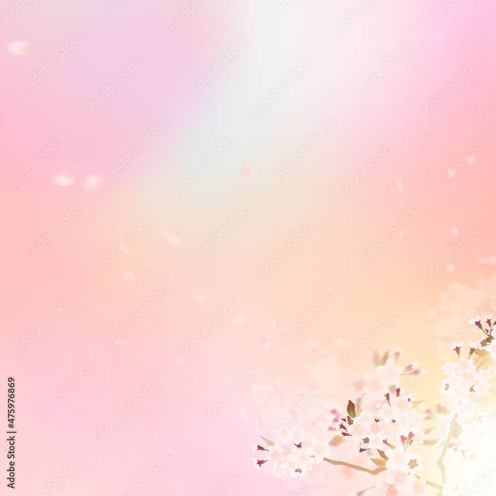 Pastel color background material using cherry blossoms