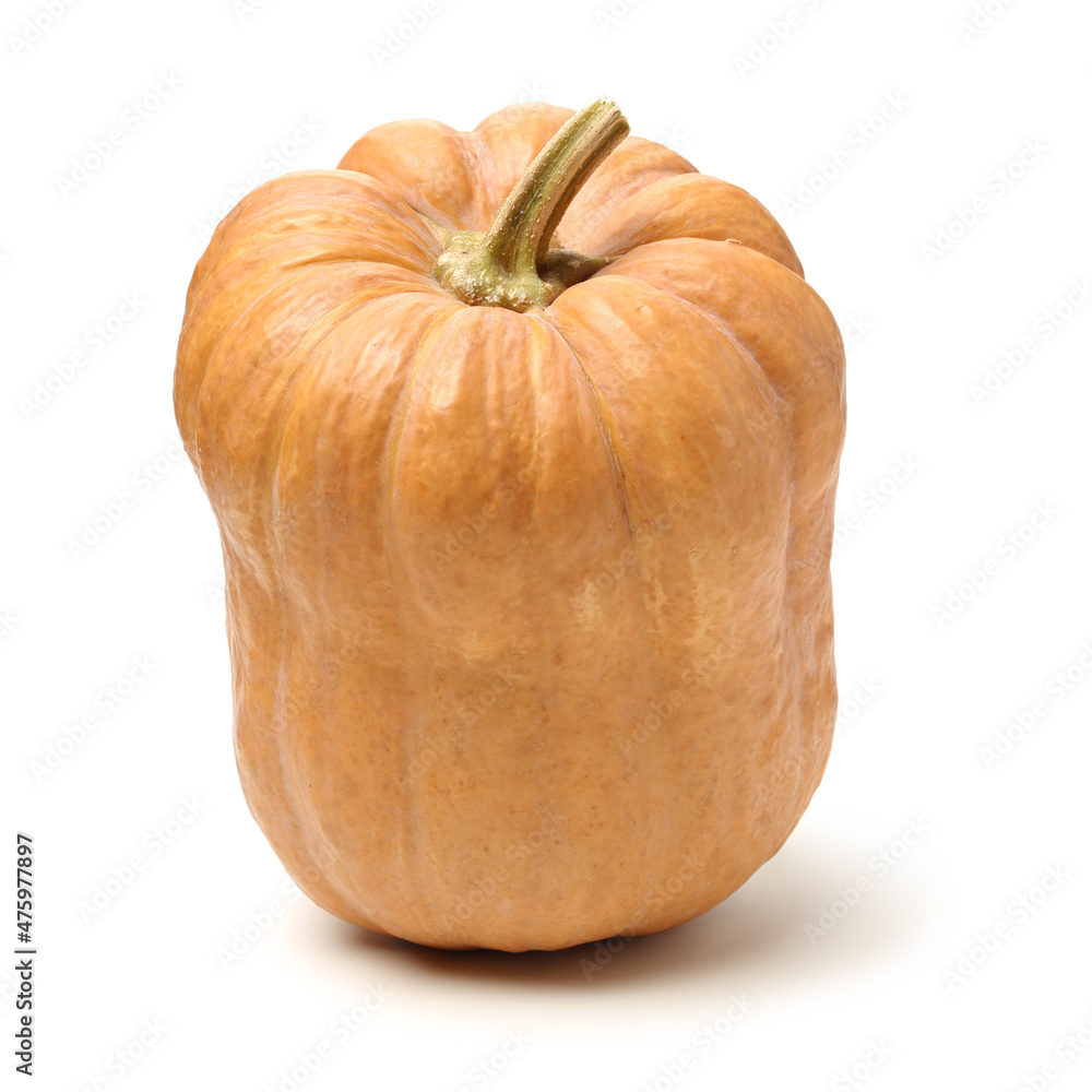 Orange pumpkin on white background Orange pumpkin on white background