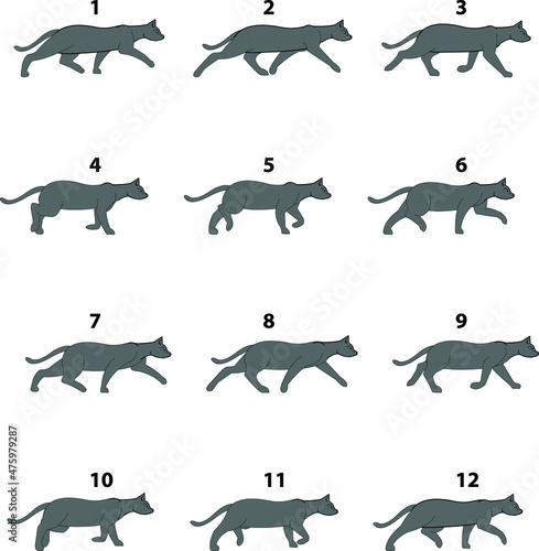 Cat walking cycle animation vectors for cartoon video