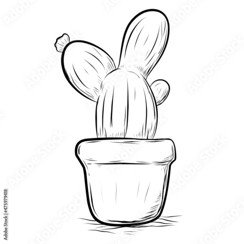 Hand drawn plant pot cactus sketch illustration white background