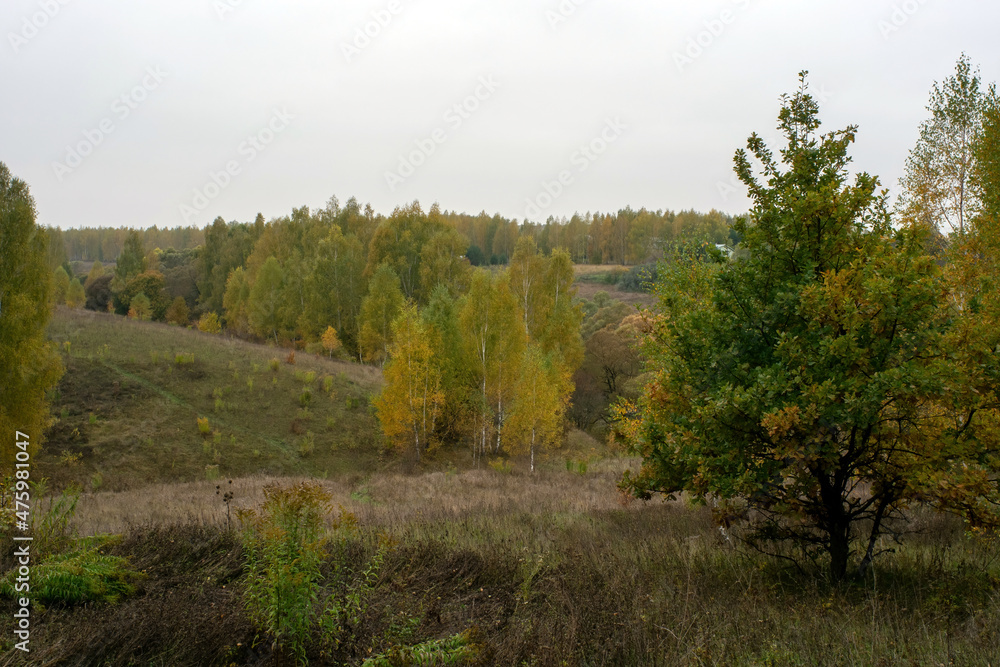 landscape on a cloudy autumn day