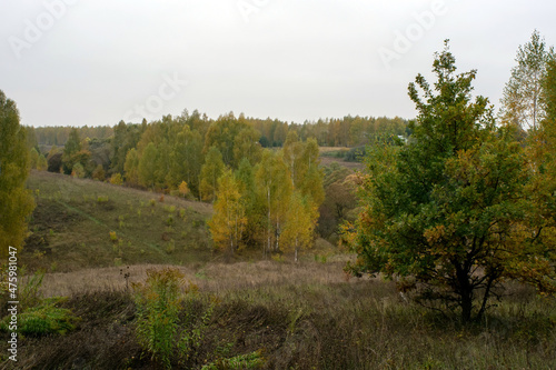 landscape on a cloudy autumn day