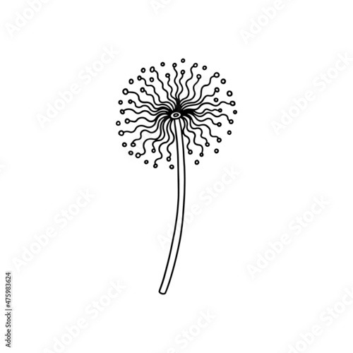 Black dandelion with seeds in abstract style vector illustration isolated