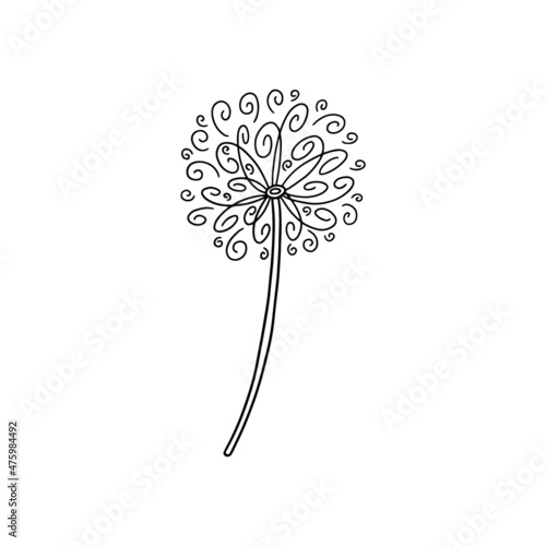 Abstract simple dandelion in black ink color. Spring airy blossom flower