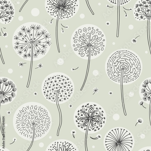 Airy, fluffy, light dandelions with flying cloud of seeds in wind in vector