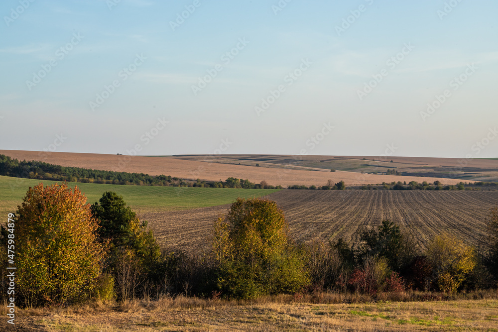 Obraz premium autumn landscape at the sunset with copy space