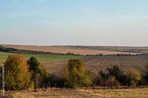 autumn landscape at the sunset with copy space