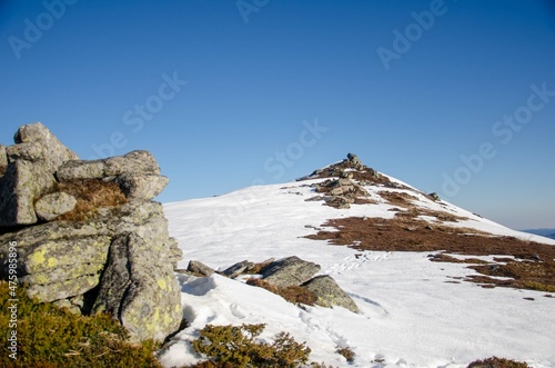 snow covered mountains