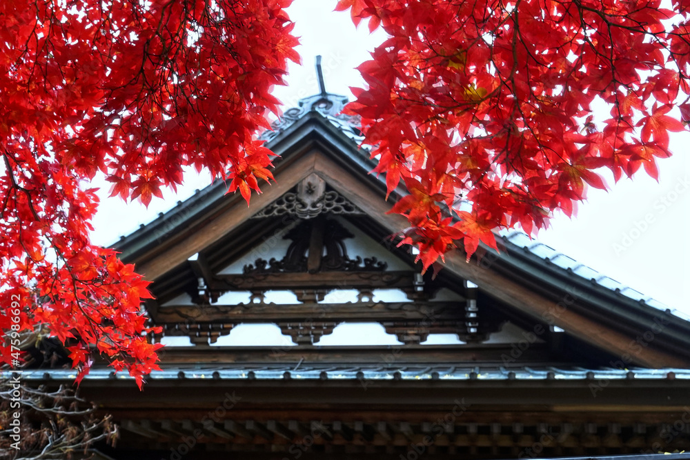 長円寺の本堂と紅葉