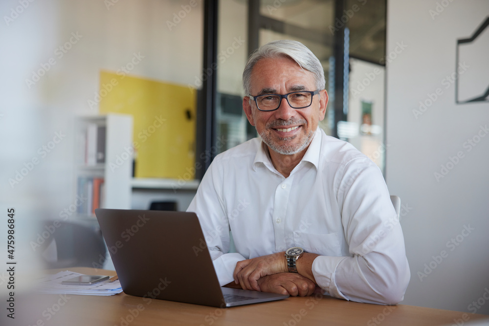 Smiling businessman with laptop in office Smiling businessman with laptop in office