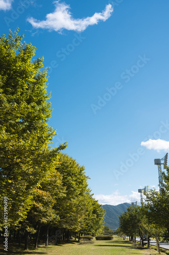 Misa Gyeongjeong Park green forest in Hanam, Korea photo