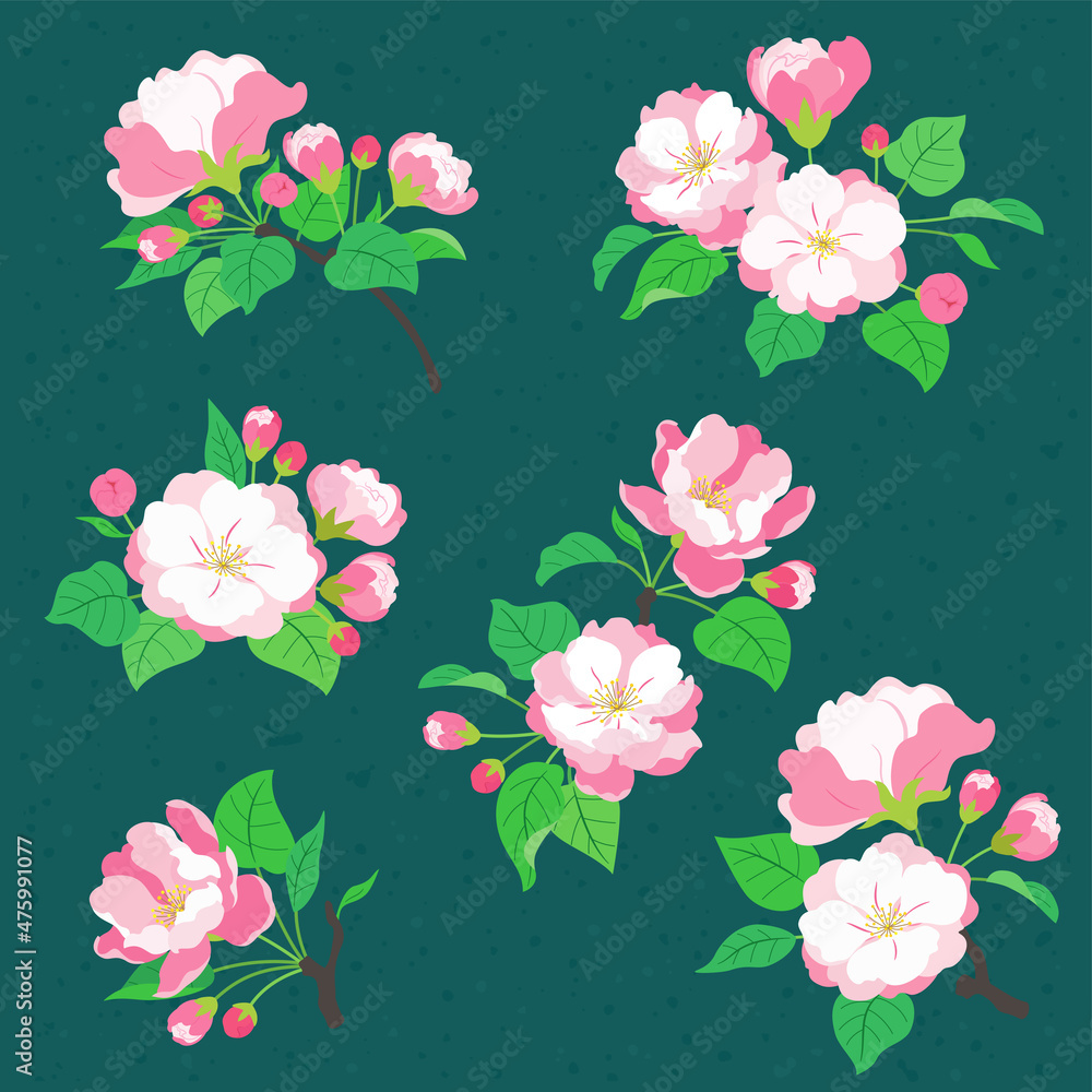 Illustration of various types of Chinese Begonia flowers