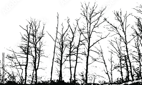 landscape vector