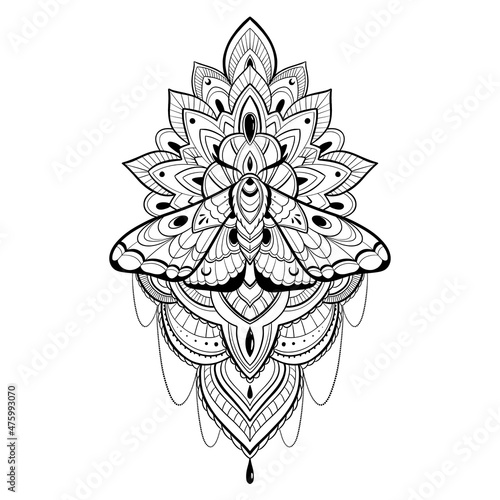 Vector illustration with hand drawn butterfly on mandala. Abstract mystic sign. Black linear shape.