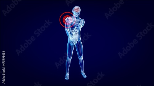 4K anatomy concept of a shoulder pain © Julien Tromeur