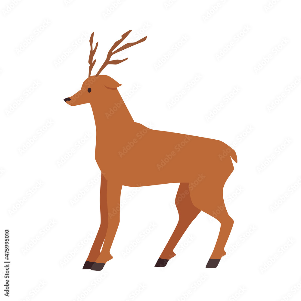 Cute deer with horns, tail. Beautiful wild animal, cartoon christmas reindeer