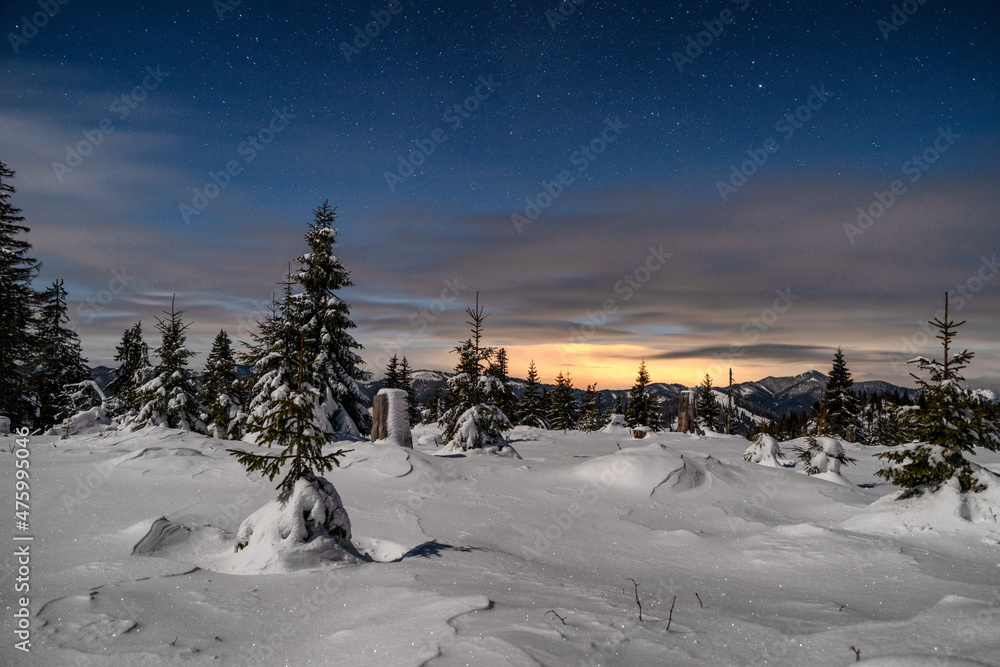 Winter mountain landscape. Snowy trees under sky at night in Smrekovica, Slovakia
