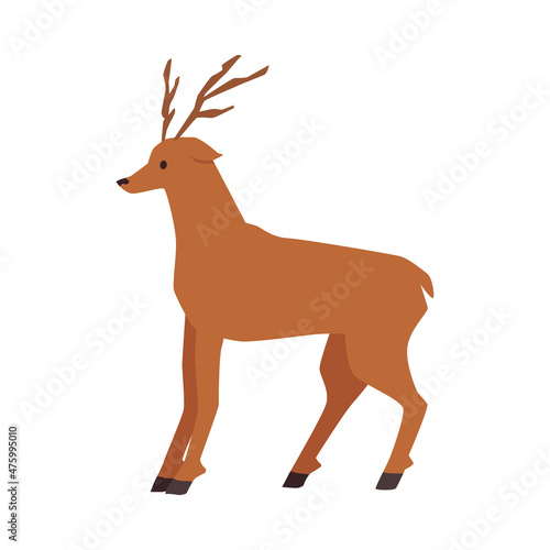 Cute deer with horns, tail. Beautiful wild animal, cartoon christmas reindeer