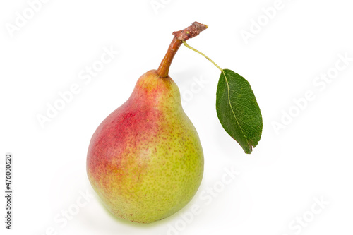 Pear of Bartlett variety on a white background photo
