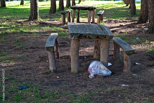 garbage in a pine forest left to witness human stupidity