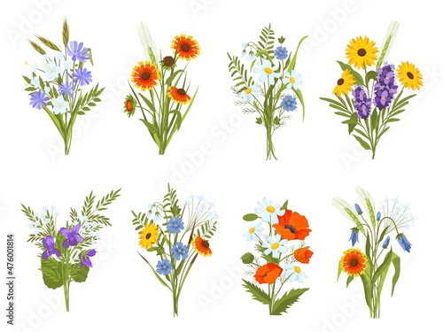 Blossom bouquets with garden and meadow wild flowers and herbs. Beautiful summer field wildflowers, daisy, sunflower and poppy vector set